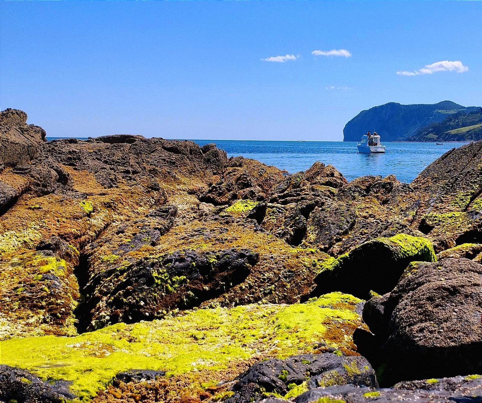 Arrantzale Beach Bermeo Eksteriør billede